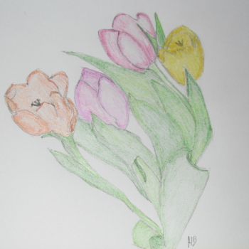 1 tulpen van een  p…